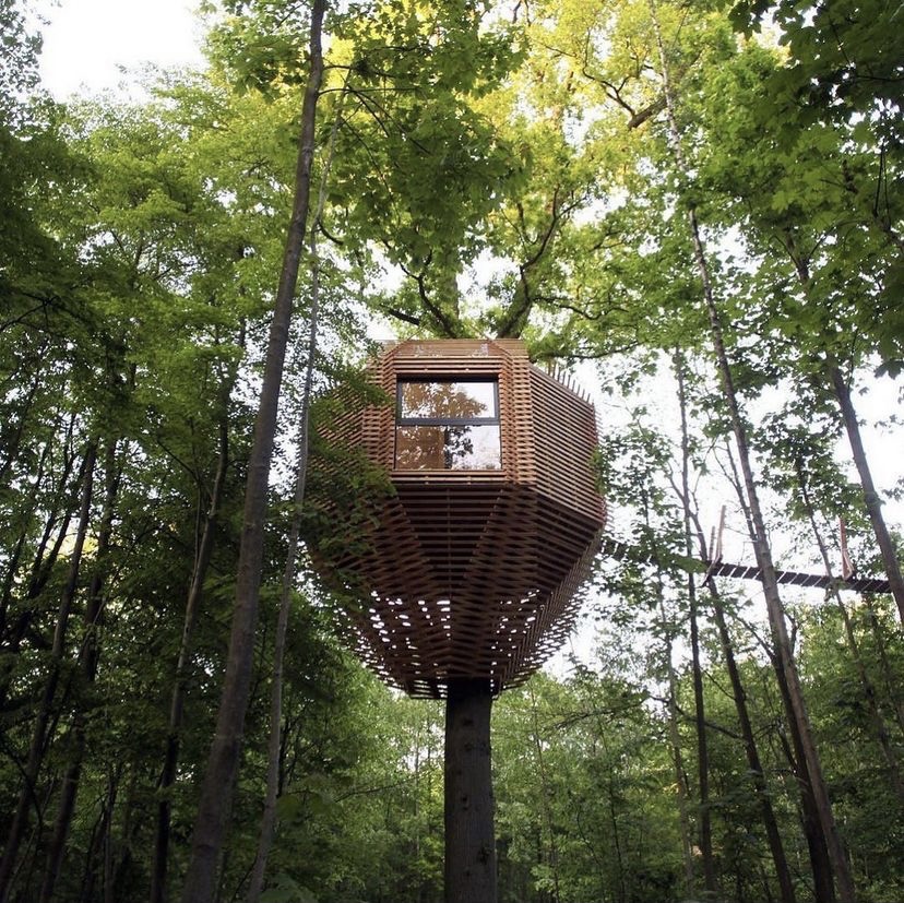 earthlium's tweet photo. Some off-the-grid treehouse living to get you dreaming on this Monday afternoon!

📍 Origin Treehouse.
🎥 @atelierlavit @nidperche

#nature #offthegridliving #treehouses #airbnbtreehouse #forestliving #ecoliving #origintreehouse #cabinlife https://t.co/VtwkrSlbWC