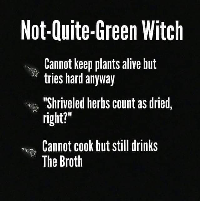 SubRosaMagick's tweet photo. Which #Witch are you?
#witchesbelike https://t.co/guzk9h2f4h