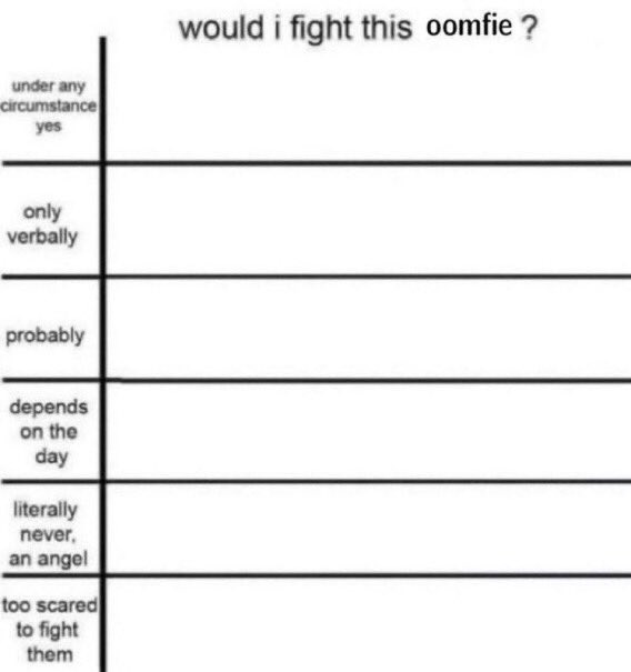 noah 🚀 tweet media