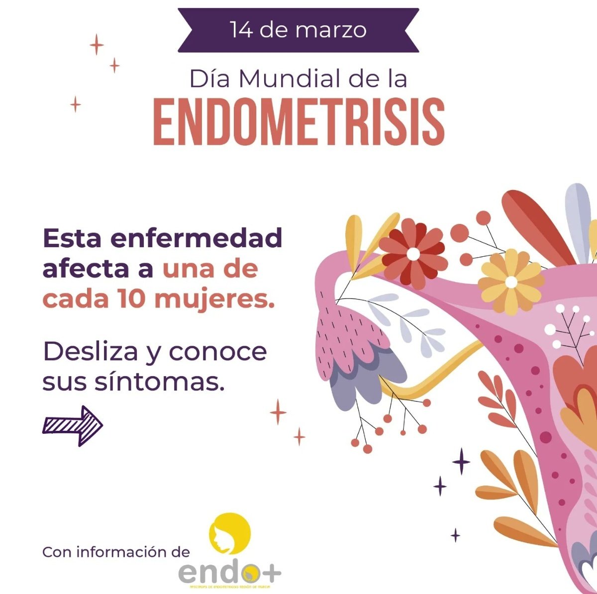 ༺ ✨🧭🧩𝓜𝓪𝔂𝓽𝓮 🧬✨༻ tweet media