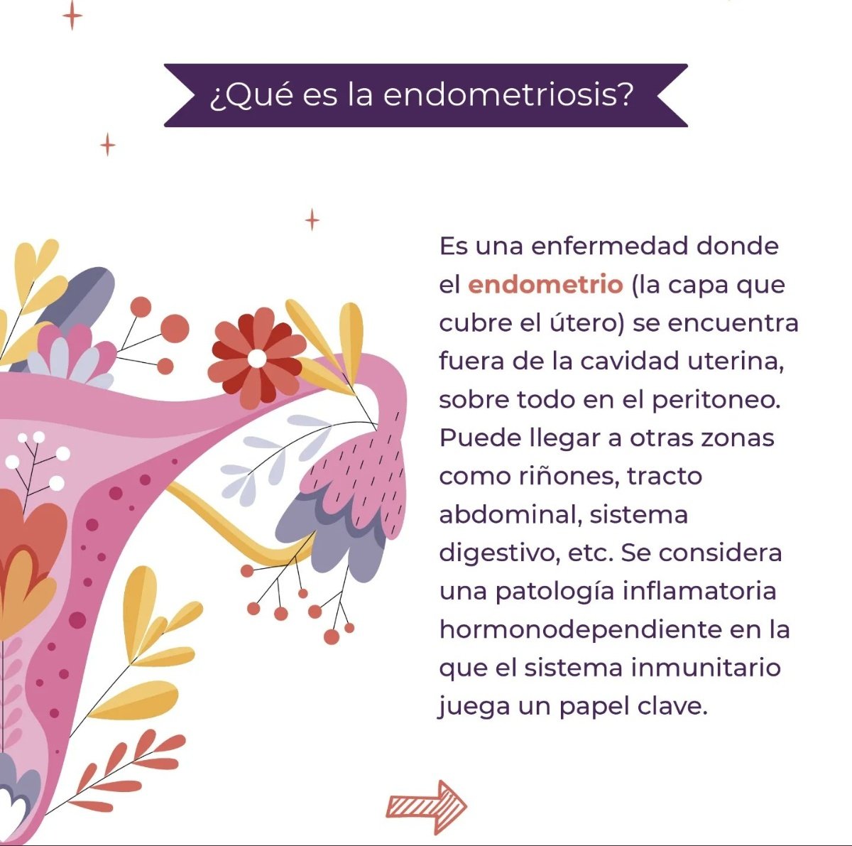 ༺ ✨🧭🧩𝓜𝓪𝔂𝓽𝓮 🧬✨༻ tweet media