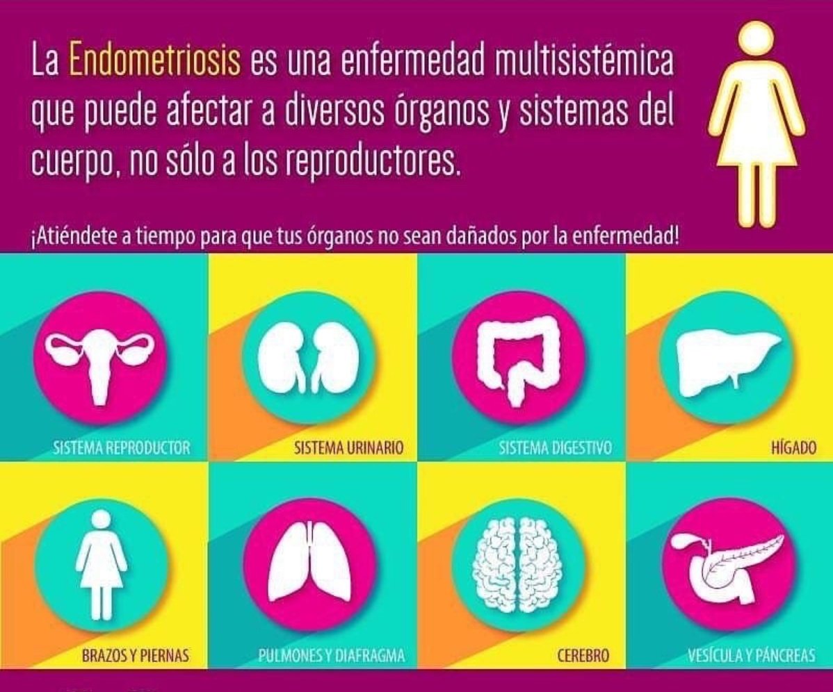 ༺ ✨🧭🧩𝓜𝓪𝔂𝓽𝓮 🧬✨༻ tweet media