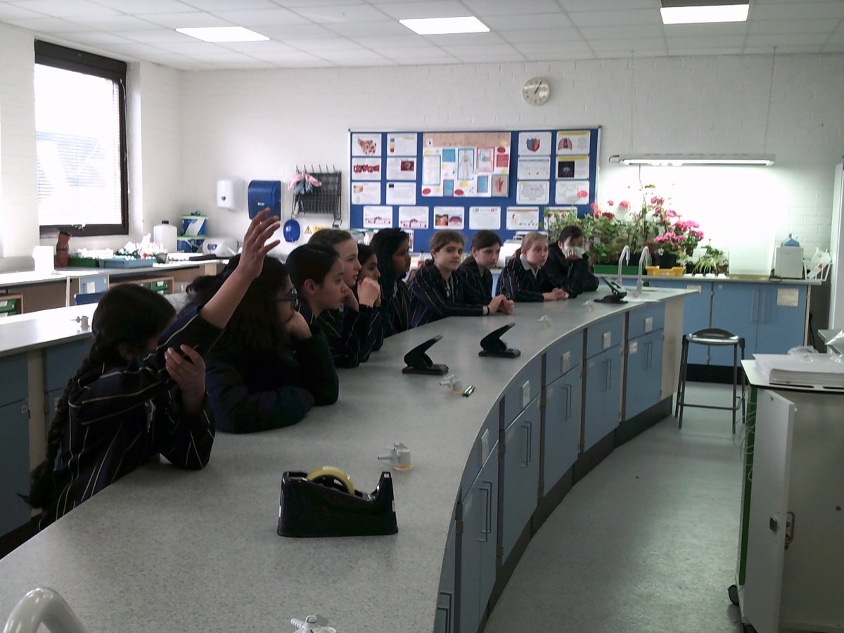 STAHSEnglish's tweet photo. As part of our Big Book Bonanza, Year 7 were learning all about the science behind conjoined twins. A great example of how literature can open up exciting conversations! https://t.co/kIwf2LCvKu