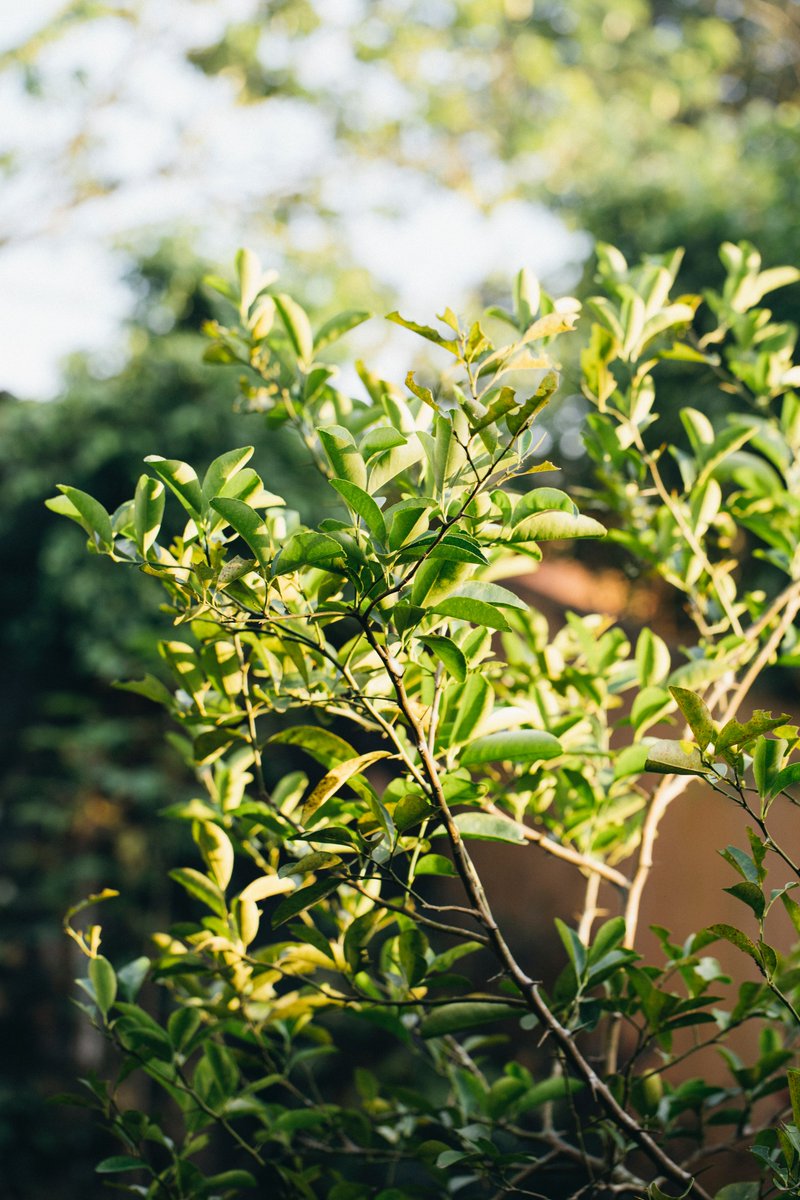 Daylight savings time really messes with my biorhythms. How are you coping? I'm focusing on the bright side of Spring. Read more here: bit.ly/3t8xyAK