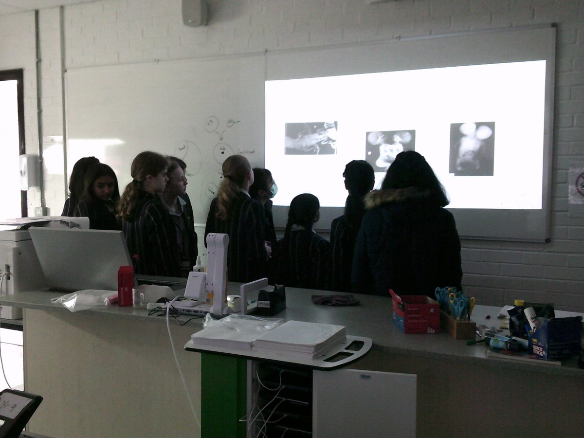 STAHSEnglish's tweet photo. As part of our Big Book Bonanza, Year 7 were learning all about the science behind conjoined twins. A great example of how literature can open up exciting conversations! https://t.co/kIwf2LCvKu
