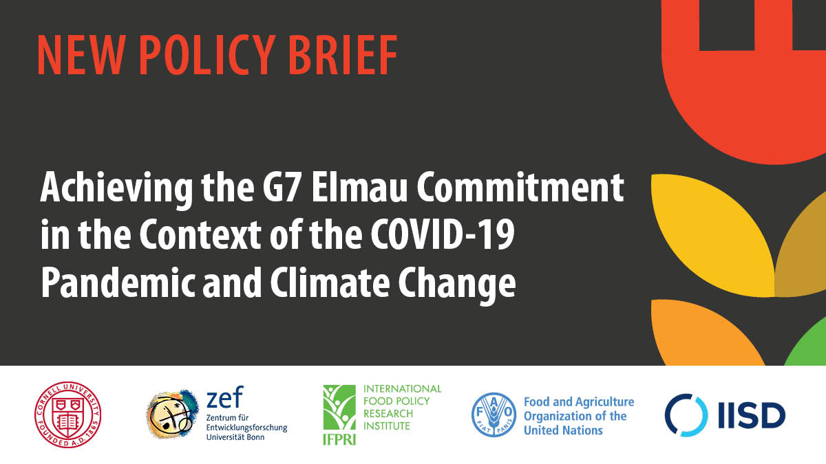 Ceres2030's tweet photo. What actions must the #G7 take in order to fulfil its commitment to ending hunger sustainably?

With the G7's next meeting fast approaching, find out more in our latest policy brief, co-authored with @ZEFbonn, @FAO, @IFPRI and @CornellGlobal
👉https://t.co/LAt52sB1tl https://t.co/OGPtz1vBHb