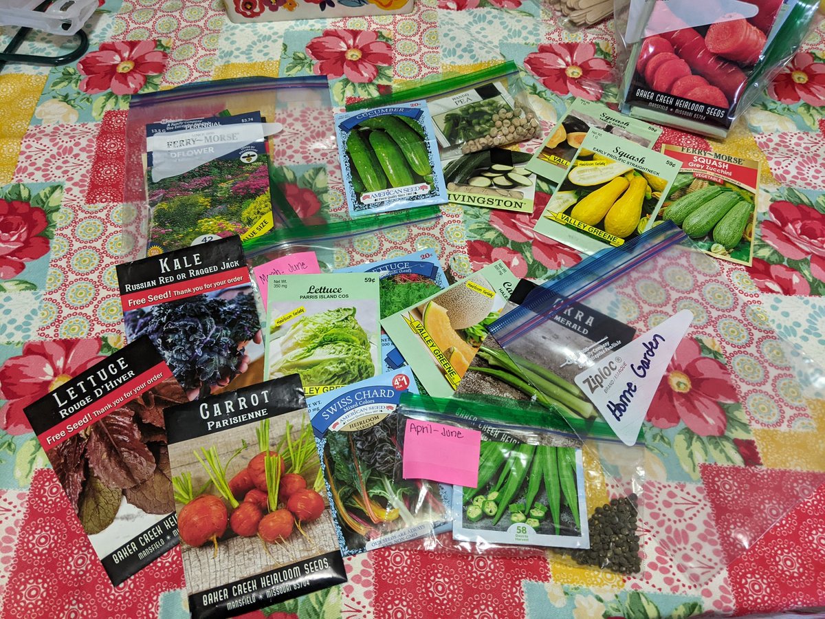 dfteach's tweet photo. I'm apparently starting a farmers market. #ThisIsNotAll 🤦🏼♀️🤷🏼♀️ https://t.co/Xxn6S89tjF