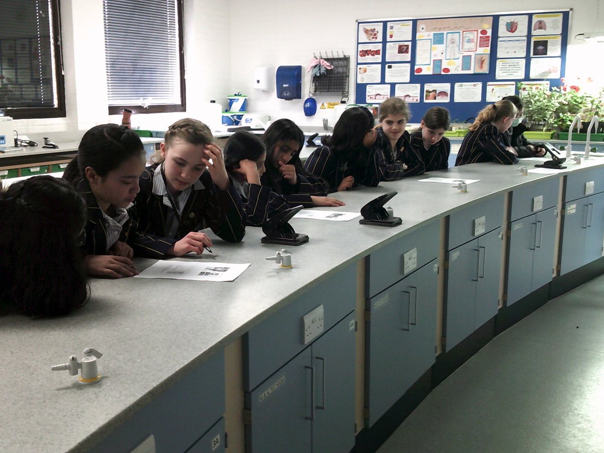 STAHSEnglish's tweet photo. As part of our Big Book Bonanza, Year 7 were learning all about the science behind conjoined twins. A great example of how literature can open up exciting conversations! https://t.co/kIwf2LCvKu