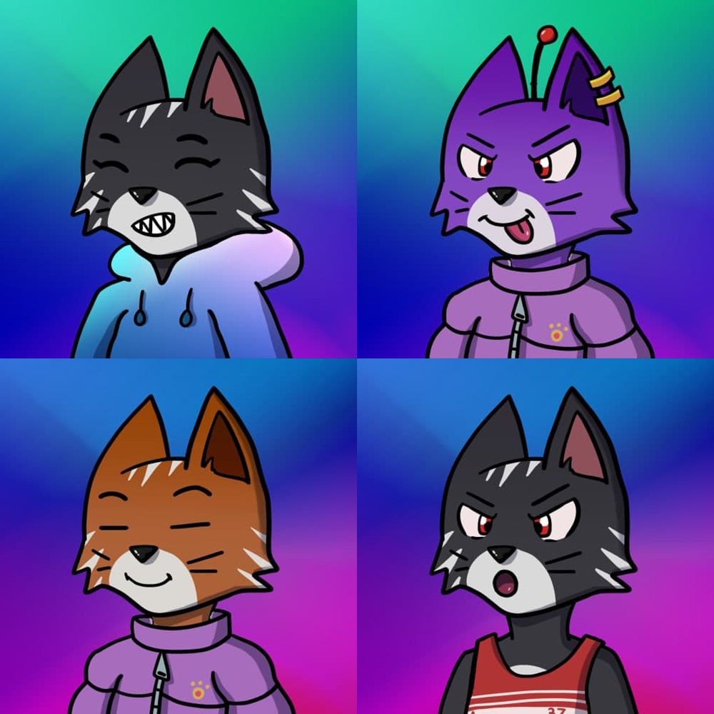 #NekoCoin are dropping their first NFT's collection and CEX listing this week!

With lots more to come including NekoSwap, NekoLottery and Merchandise

Currently on a dip at 800K MCap, get in now before massive run start again🚀

poocoin.app/tokens/0x43ce6…
t.me/nekocoinbsc