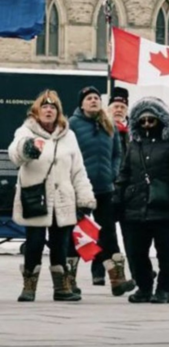 @_llebrun Look at these hapless flag waving fools. They have no idea what they are apart of or what they are enabling. #FreedomConvoyCanada