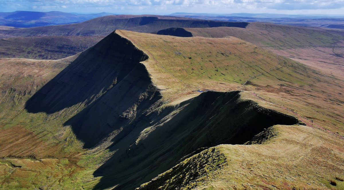 Cribyn from PyF