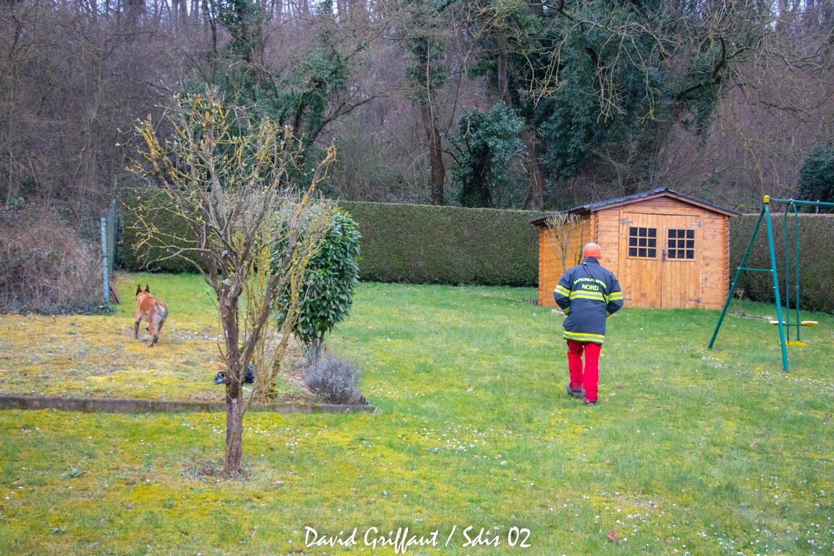 Sdis02's tweet photo. 🚨Bilan d'un samedi opérationnel intense pour #Soissons #AISNE 
1/2 Nos équipes cyno🐺et plongeurs 🤿 aux côtés de la #gendarmerie et des collègues @SDIS60 et @Sdis59
Un bel exemple de la mise en synergie des compétences interdépartementales!🤝
Pour recherche de disparu #secours https://t.co/op2wk3heid