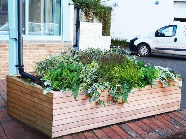ThePeterBelton's tweet photo. Our #RainGarden planters are fast becoming a popular choice. 

Specially designed to receive &amp; filter rainwater from a diverted downpipe. 

They rapidly absorb water run-off reducing the risk of flash flooding. 

Find out more 👇https://t.co/5HjzHg8KlQ

#suds #floodmanagement https://t.co/0YeTV5epN9