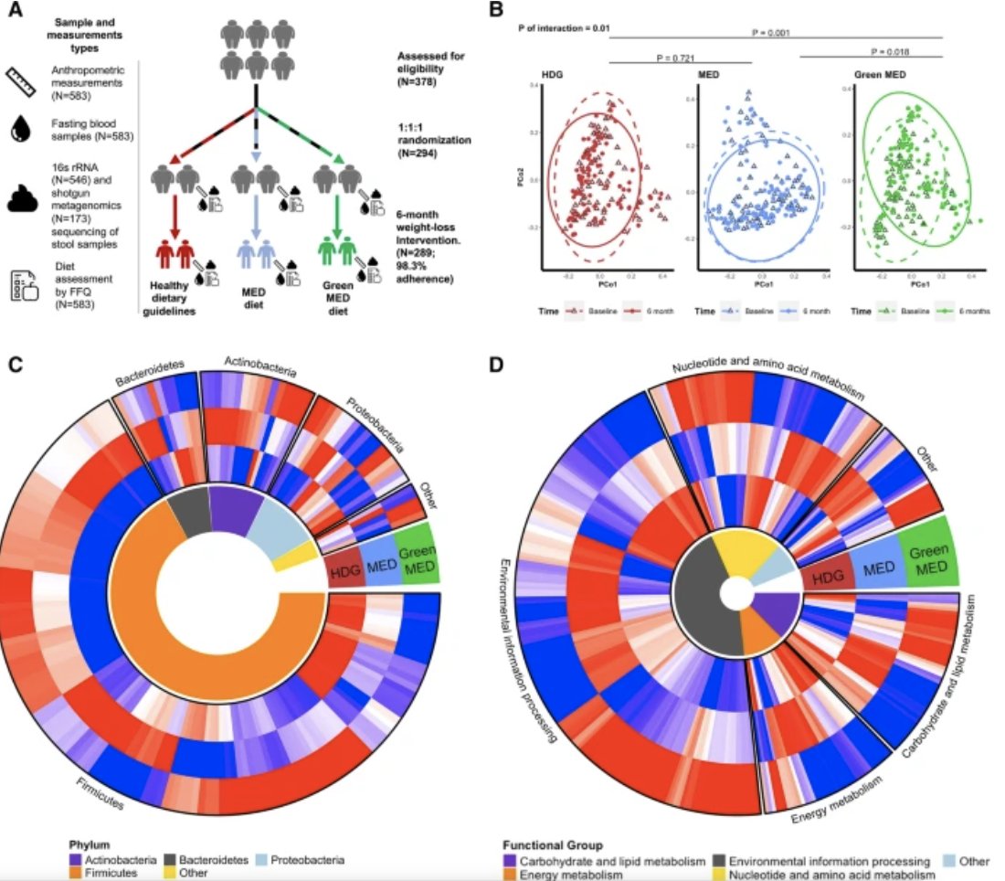 GenomeMedicine's tweet photo. New diet #microbiome research here! @EhudR4 @KorenLab @KnightsDan &amp; co provide evidence that the beneficial effects of the Green-Mediterranean diet, including weight loss &amp; reduced cardiometabolic risk, are mediated by the gut microbiome.

Read more here: https://t.co/yaEls1ZFGf https://t.co/r61J2miOzh