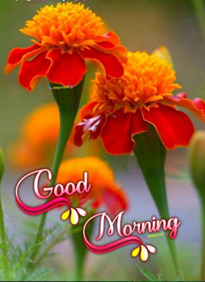 yashrawattt's tweet photo. @cr0ssETH https://t.co/3m3KY9AaOh