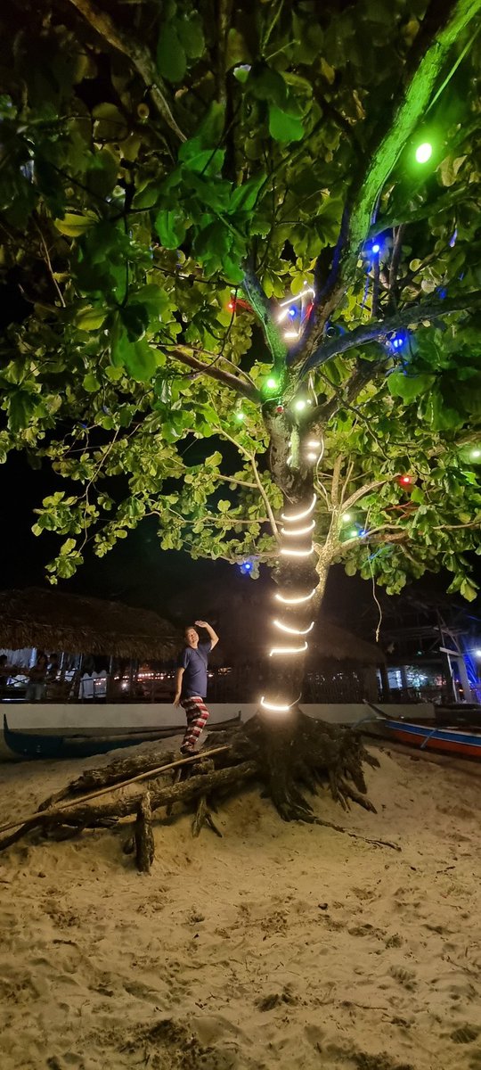glennrevilla's tweet photo. Finding the enchanted tree https://t.co/lnPzMHfxjO