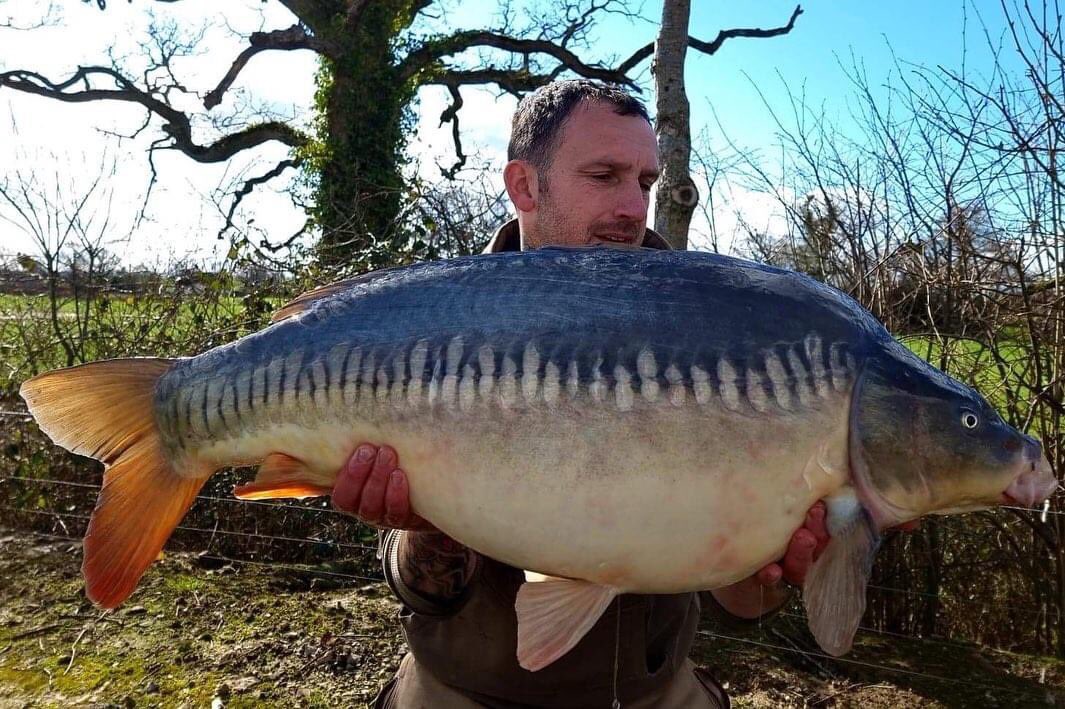 CarbonBaits's tweet photo. 💥PB vibes💥

After arriving at the lake &amp; jumping on the back of a cold south easterly Simon managed to land a 29.2

After keeping his eyes peeled he located a few carp so moved &amp; kept the bait going in landing 7 carp of 23lb 29.12 33.14 34.4 36.12 39.2 and a new PB 39.4 😎 https://t.co/xQLZuIbUKW