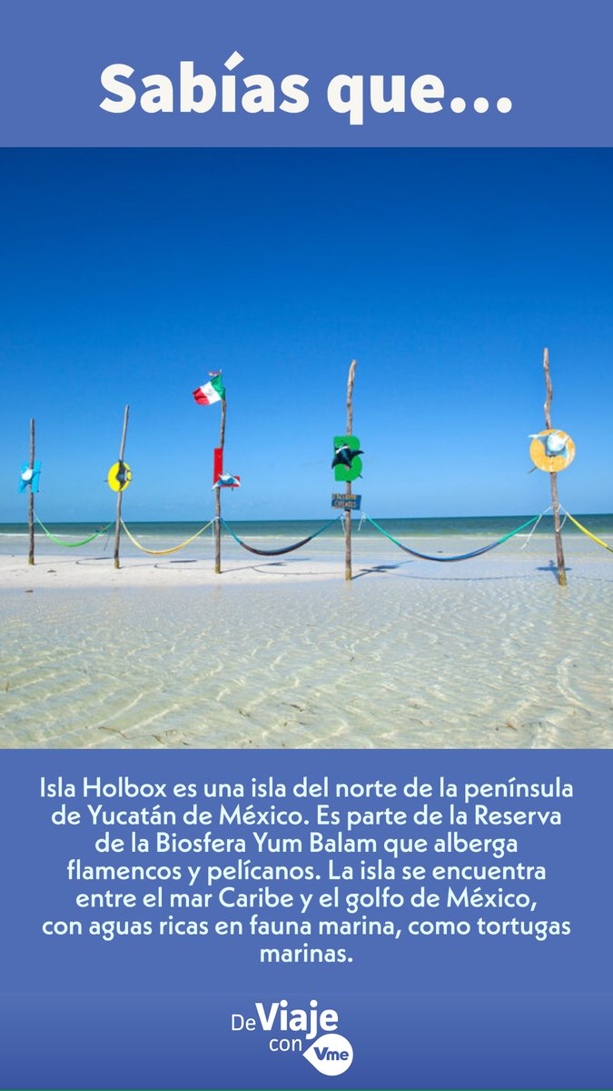 VmeTV's tweet photo. Sabías que... La isla de Holbox es un espectacular destino turístico donde puedes conseguir flamencos y pelícanos y agua cristalinas con arena clara. #deviajeconVme #IsladeHolbox ¿Te gustaría conocerla? https://t.co/wRNfEmopJd