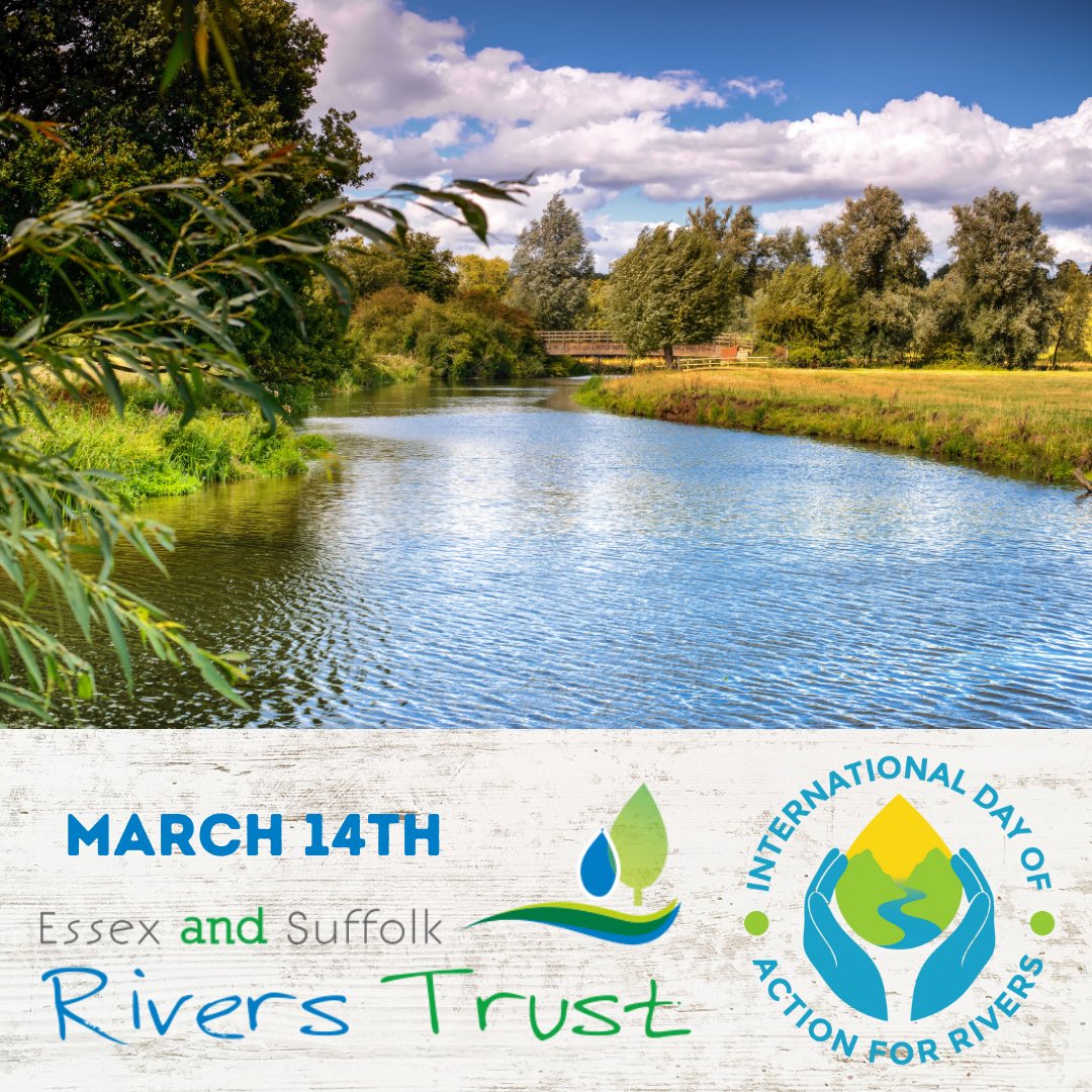 It’s the 25th annual #InternationalDayofActionforRivers 

A day to celebrate life-sustaining #rivers and their #biodiversity!

Freshwater #ecosystems are the most degraded in the world and global action is needed to turn this around.

#RiversUniteUs