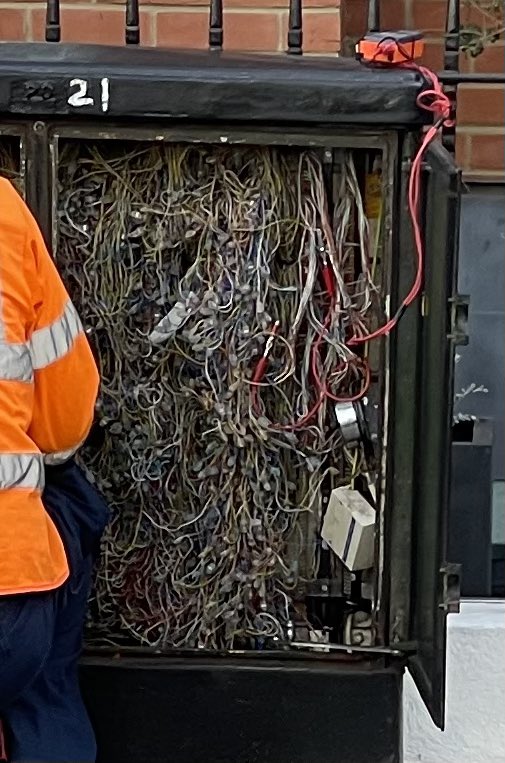 PJ Camillieri tweet media