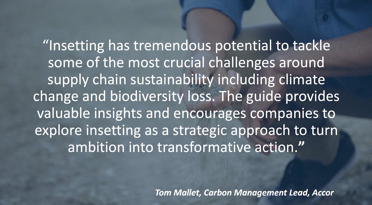 International Platform for Insetting tweet media