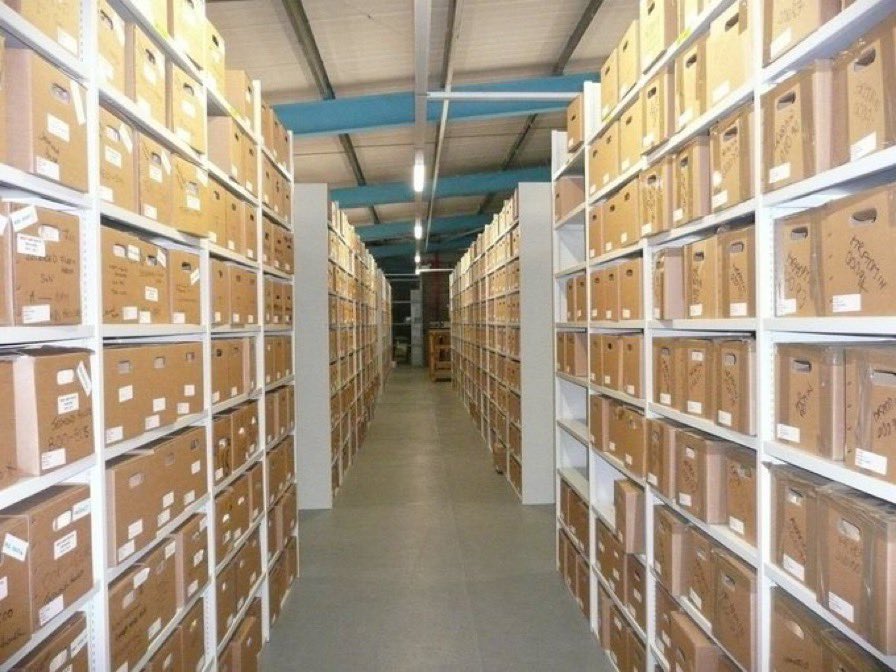 #GlobalIrish #Twitterstorians

After twelve months of prep, I’m delighted to be launching my latest project #GlobalArchives <a href="/rte/">RTÉ</a> <a href="/CenturyIRL/">Century Ireland</a> tomorrow!

This project highlights #IrishHistory collections in #Archives #Museums #Libraries all over the world 🌎 

We go LIVE from 10am!