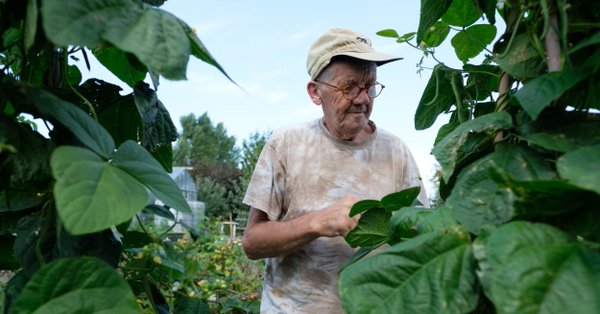 LEAD_Coalition's tweet photo. On ‘care farms,’ people with #dementia tend to livestock, harvest vegetables and make their own decisions. https://t.co/fop3U0cu7g via @IndianaSVAmedia @Journeyingdave 

#Alzheimers #happiness https://t.co/LLPm7CFpg6