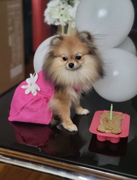 FN07jlPVUAIXL_t?format=jpg&name=360x360