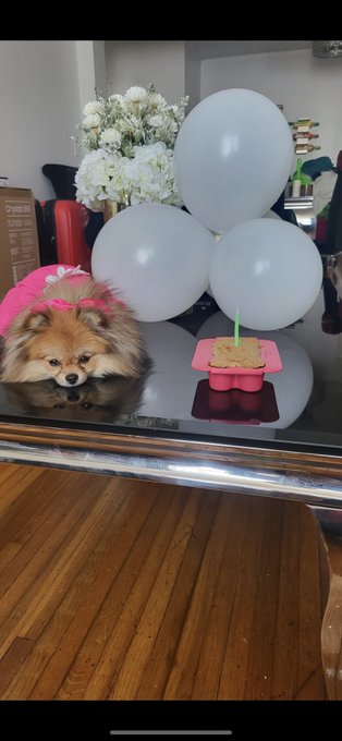 FN07jlRUYAQdl1X?format=jpg&name=small