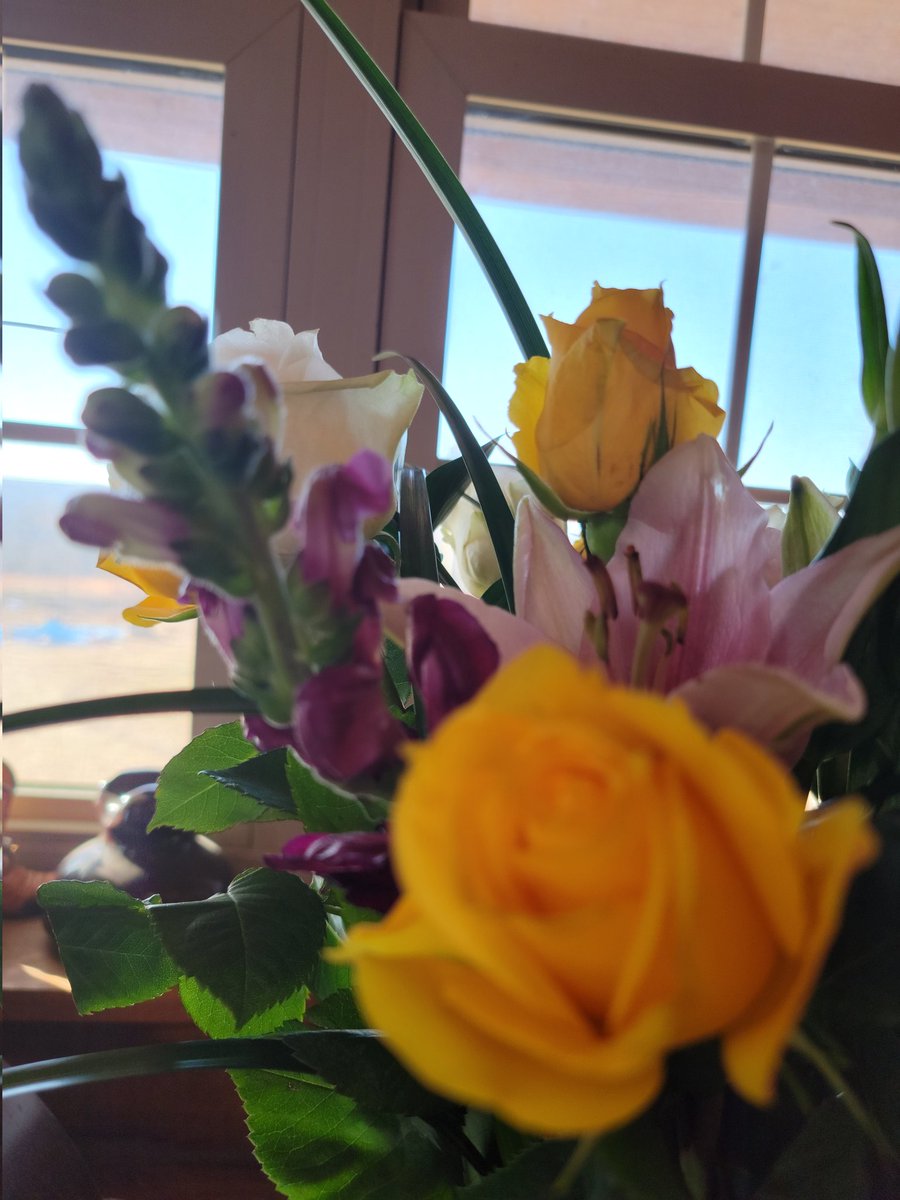 Monday feeling blessed to live in USA 🇺🇸,