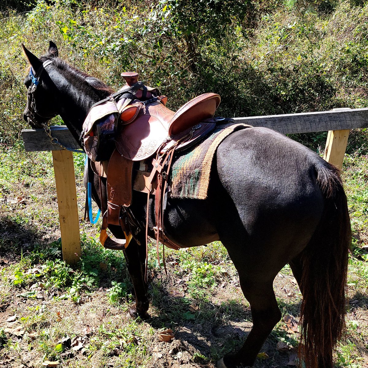 Sunny days bring great trails to ride