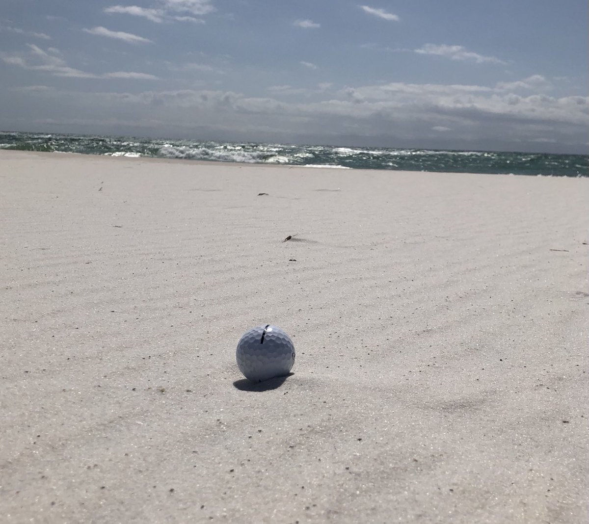 DMcaffrey's tweet photo. Found this while walking on the biggest sand trap I have ever seen!! https://t.co/TXbbUu0CVg