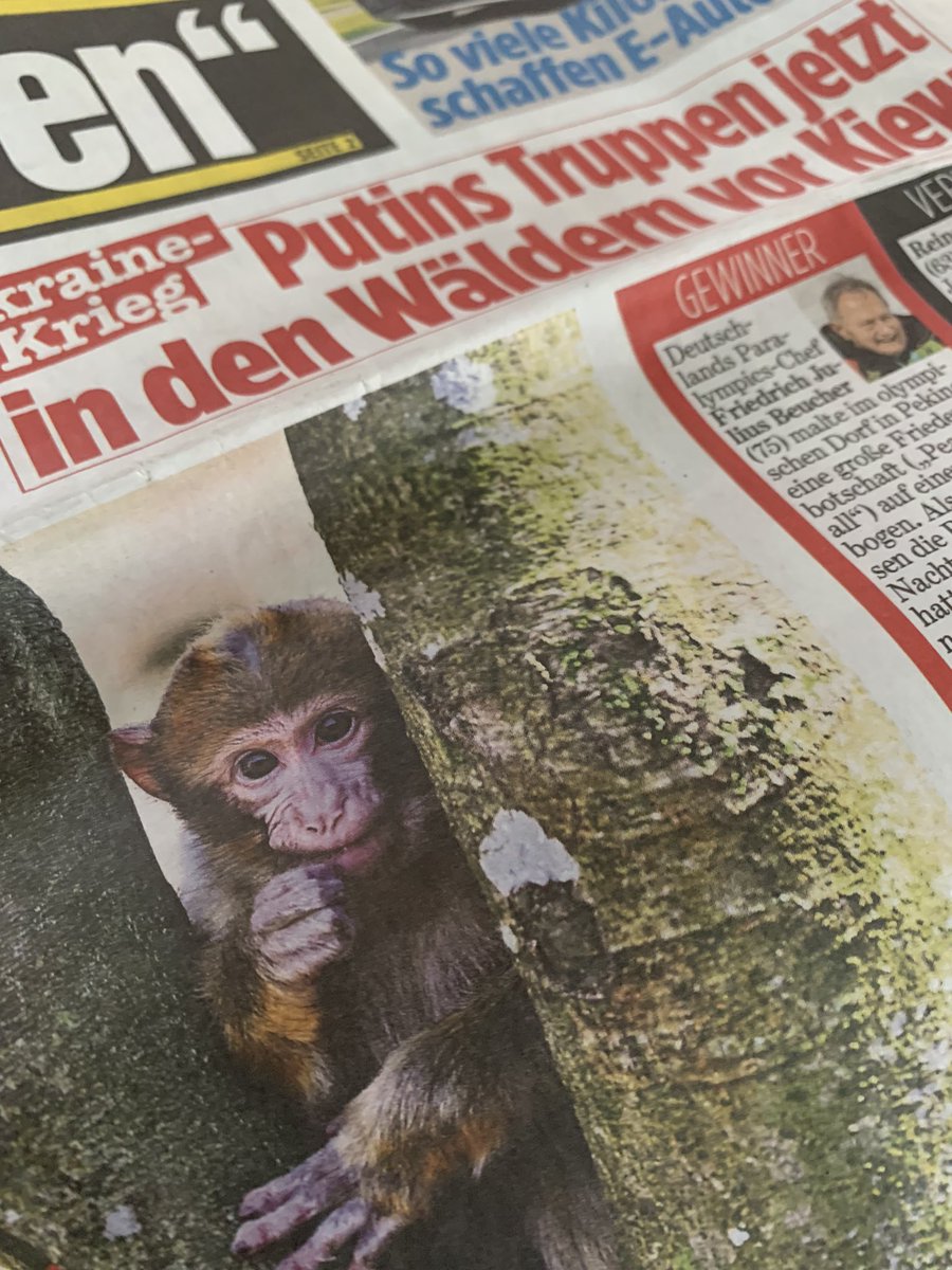 soenkeJacobsen's tweet photo. Überschriften sollten mit Bild matchen @BILD https://t.co/7XOK3t19XP