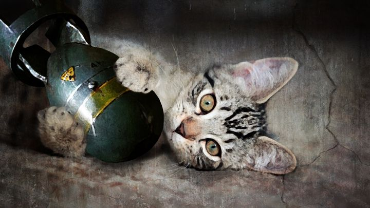 BlackHalt's tweet photo. #nukecat https://t.co/hCl5A10JbP