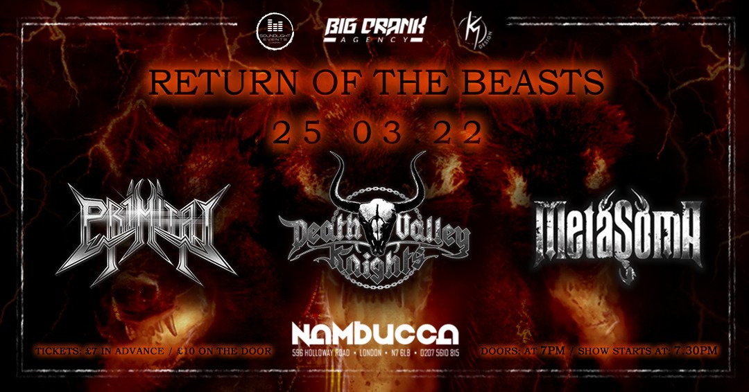 Metasoma tweet media