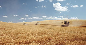 The Land Institute &amp; <a href="/astreitkrug/">Aubrey Streit Krug</a> are featured in the BBC's show "Future Food!" The episode looks at how changing the crops we grow from annual grain crops to #perennialgrains could be a #climatesolution. #climateaction <a href="/BBCFuture/">BBC Future</a> 
bbc.com/future/bespoke…