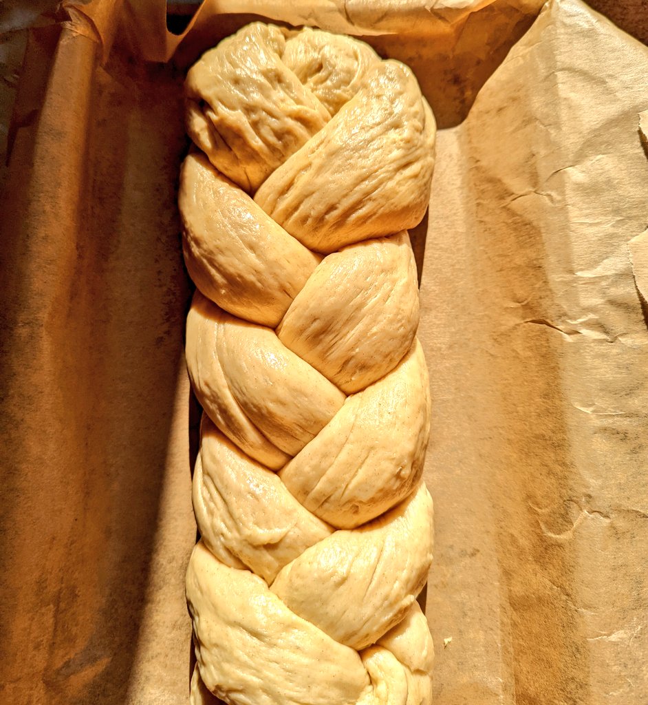 NerdyKnightress's tweet photo. Waiting to rise 🥖 https://t.co/BfVnmeWlAq