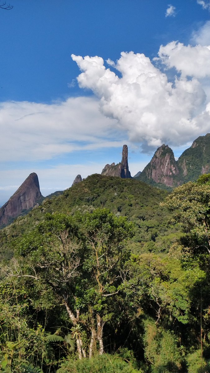 VisiteTere's tweet photo. Bom dia Teresópolis! 🍃☀️ https://t.co/k631tMJ4lp