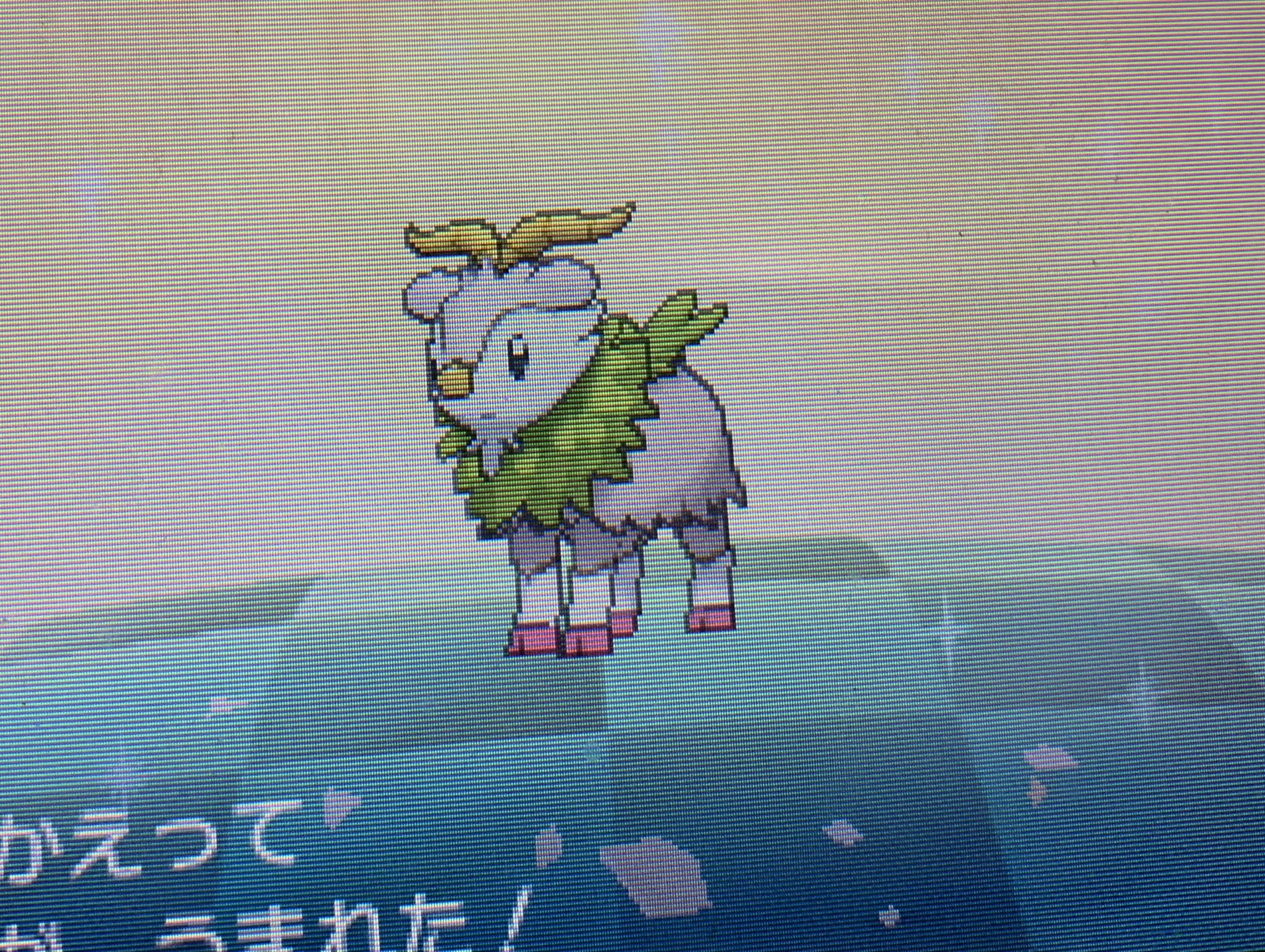 ライト 2匹目の色違いメェークルゲットです そのままゴーゴートに進化です Usum T Co Vd28va3ida Twitter