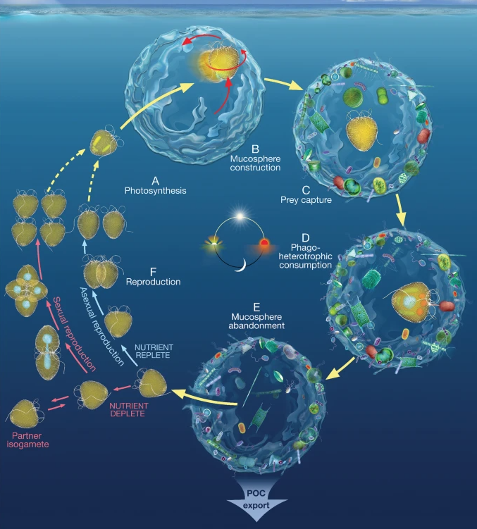 Thomas Mock tweet media
