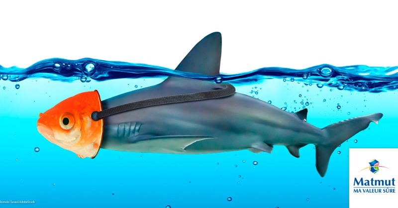 Matmut's tweet photo. #cyber 🤔❓Qu'est-ce que le #Phishing ou hameçonnage ? 

🐟Une fraude qui consiste, en usurpant l’identité d’un prestataire souvent reconnu (une banque, un portail...), à soutirer des données confidentielles à une personne par le biais de l’Internet