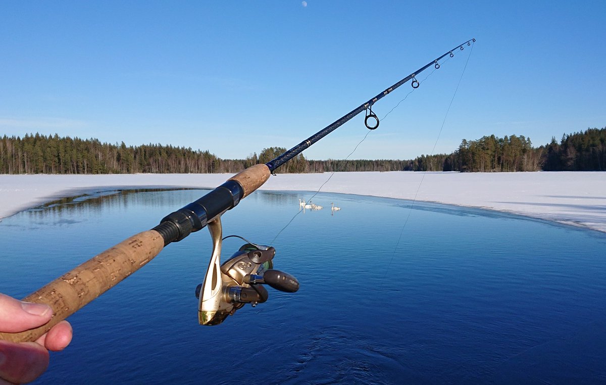erarenki's tweet photo. Viehekalastuskausi avattu Kyynäränharjulla Liesjärven kansallispuistossa joutsenten kanssa!

#tammela #liesjärvi #liesjärvenkansallispuisto #visitforssaregion #visithäme #järviylänkö #finnishparks https://t.co/CfOvbP3mLG