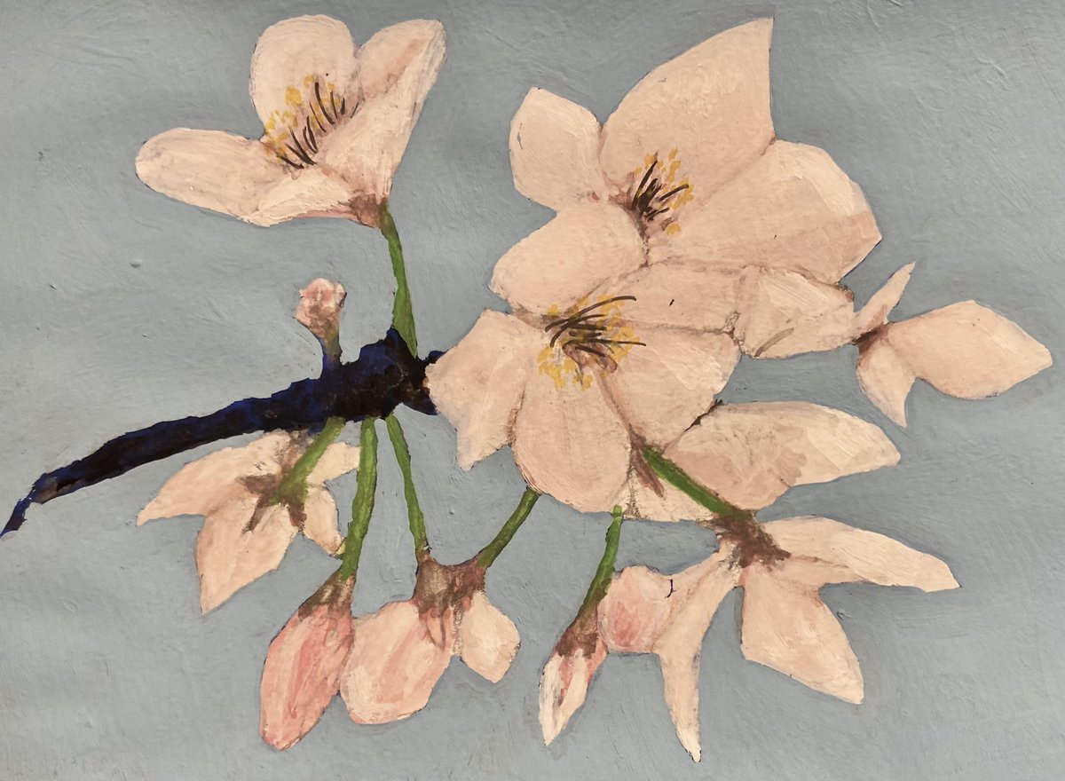 Gopencildrowing's tweet photo. 桜II

背景を塗り直してみました
写真撮るのって難しい💦

#桜
#アクリル絵の具
#絵描きさんと繫がりたい https://t.co/xhyvC5a5AK
