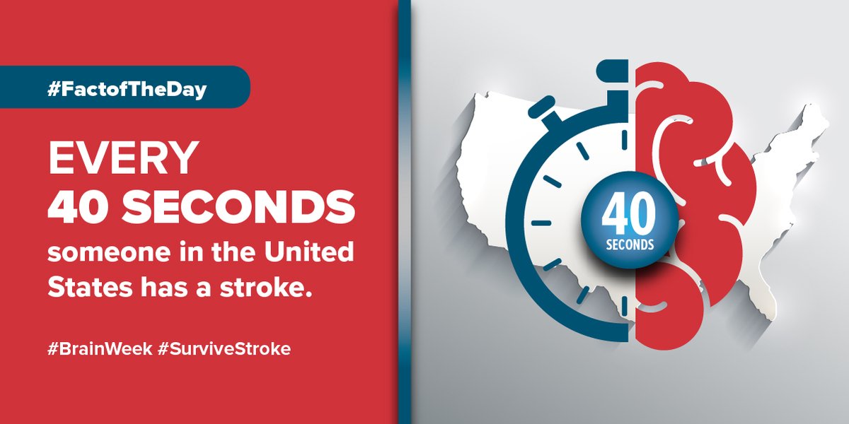 #FactofTheDay: Every 40 seconds, someone in the United States has a stroke. 🧠

This #BrainWeek, learn how we can improve systems of care to help more patients #SurviveStroke! getaheadofstroke.org/state-policies/ #BrainAwarenessWeek #StrokeTwitter #neurotwitter