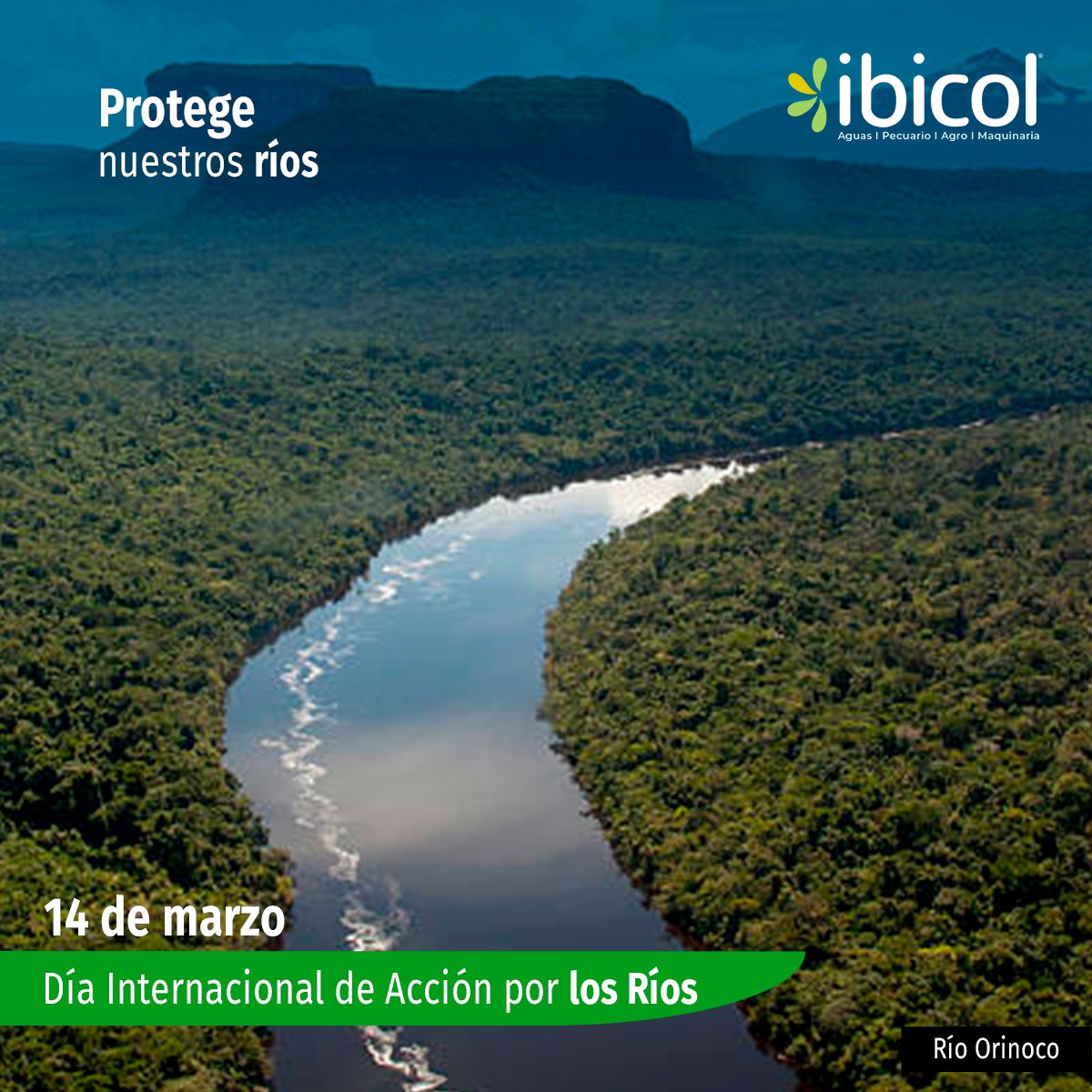 insumosibicol's tweet photo. Hoy 14 de Marzo celebramos el Día Internacional de Acción por los Ríos. Con nuestro producto ProbioBalance Plus aportamos al cuidado y protección de nuestras principales fuentes de agua limpia del planeta.
#Ibicol #DíaInternacionaldeAcciónporlosríos #ProbioBalance https://t.co/IVgQFyrUOL