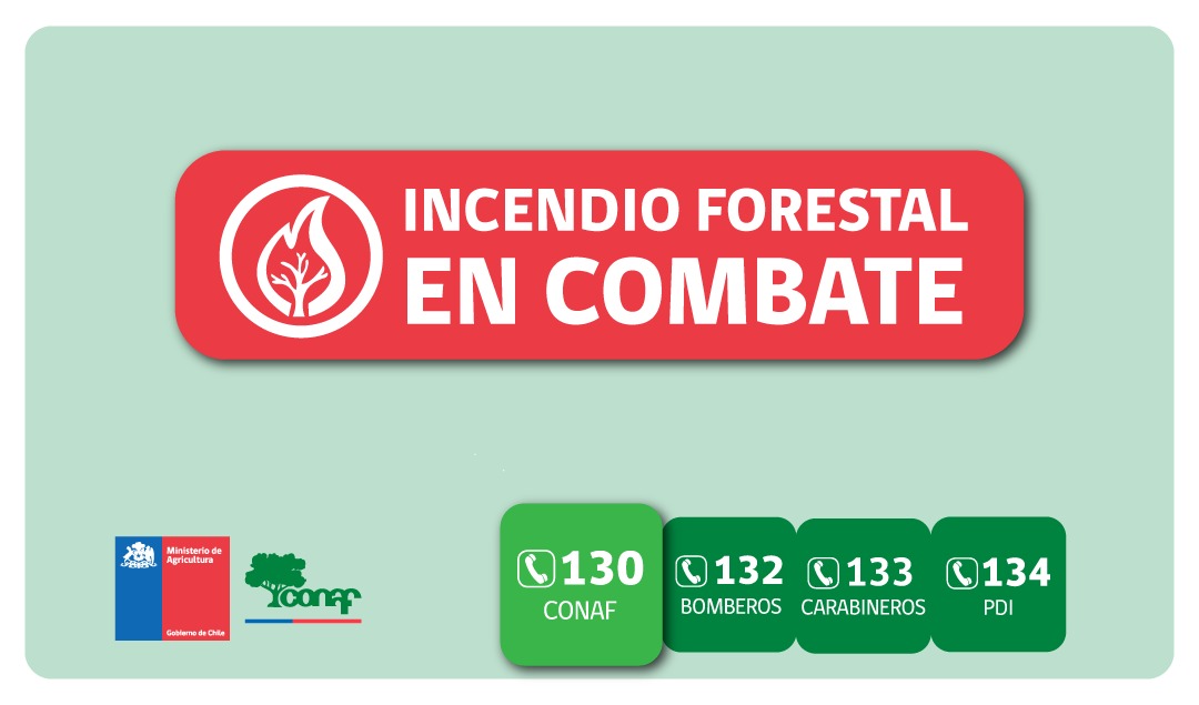CONAF Biobío tweet media