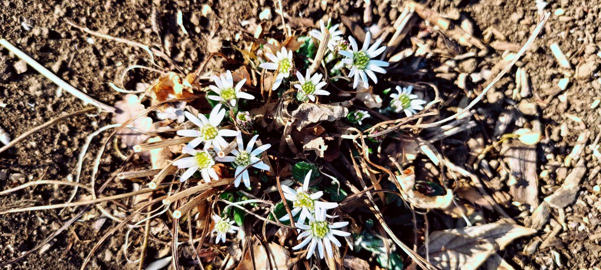 yu208488's tweet photo. センボンヤリ 
#キリトリセカイ
#photography https://t.co/gRUKMT4D2w