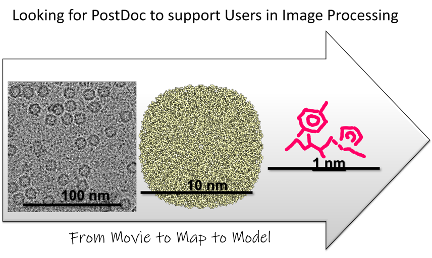 BoettcherCryoEM's tweet photo. Are you an enthusiastic PostDoc, who loves #cryoEM and ImageProcessing? Come to join our team to set up and run a user platform for image processing @RVZ_Wuerzburg @Uni_WUE. Contact me for more infos or visit https://t.co/AOZmSR8Fws. Please apply to join us! https://t.co/kvL0J2uiA4