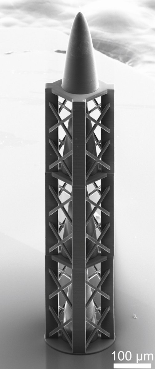 Marie-Christine Zdora tweet media