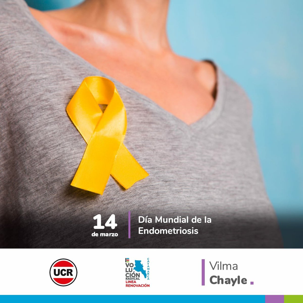 Vilma_Chayle's tweet photo. Endo… ¿Qué? “Endometriosis”. EN-DO-ME-TRIO-SIS. Un nombre extraño para una enfermedad invisible y negada que sólo sufrimos las mujeres… y no pocas mujeres: ¡al menos una de cada diez! 
Necesitamos que el senado de respuesta ! 
#MarzoAmarillo💛💛💛💛 https://t.co/LErDUUmfC7